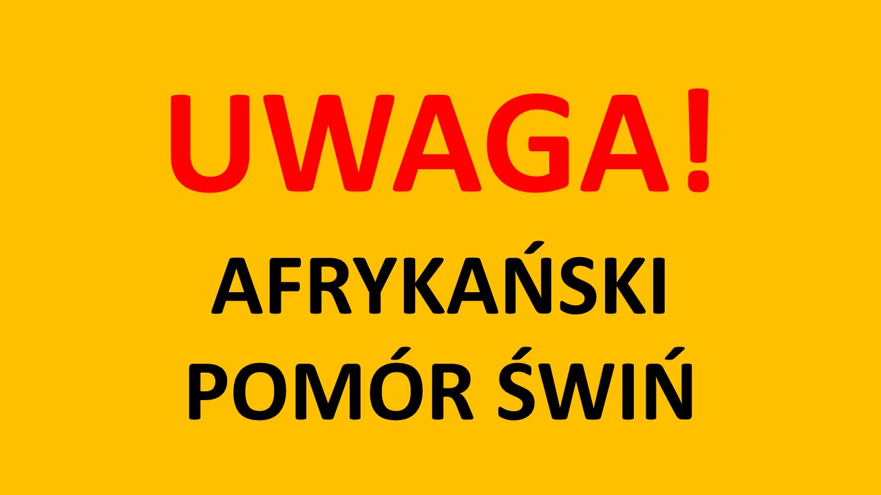 Zdjęcie: Rozporządzenie 34/2024 w sprawie zwalczania afrykańskiego pomoru świń