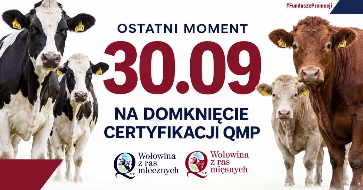 Zdjęcie: Certyfikat QMP — termin uzyskania upływa 30 września 2026 r.